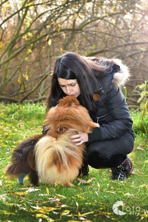 Foto zvířecí mazlíčci